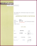 Istituti Callegari - Diploma  - Distinto